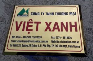 In MiCa - ảnh 8