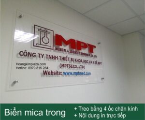 In MiCa - ảnh 2